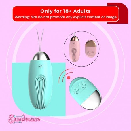 Remote Control Egg Vibrator 10 Speed Wireless Bullet Toy for Women