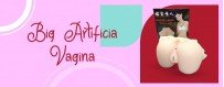 Big Artificial Vagina